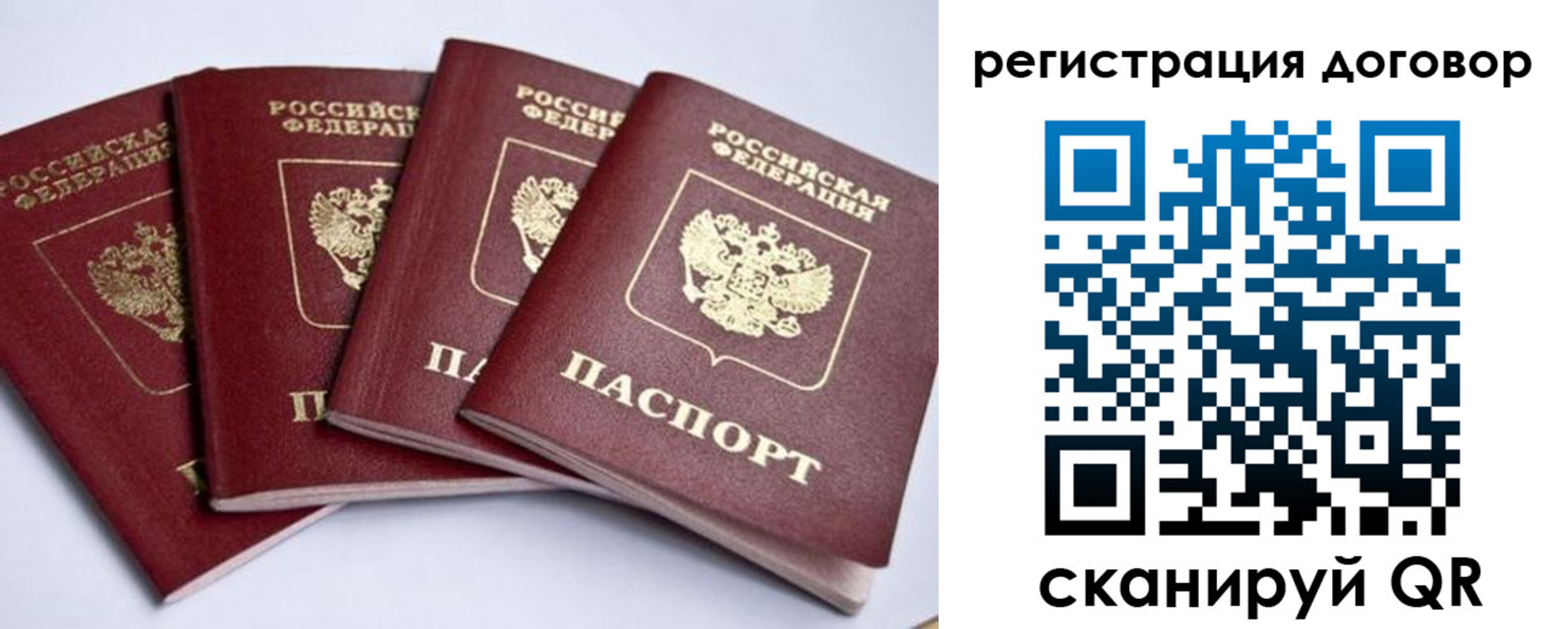 прописка поиск в Мамадыше